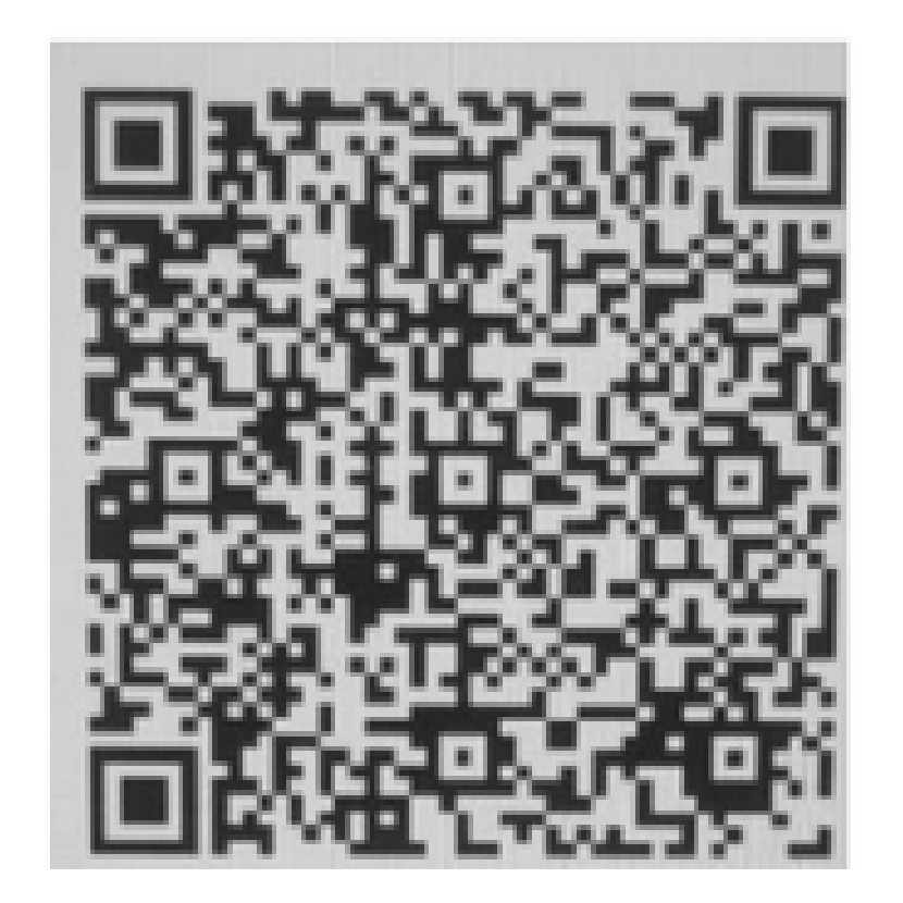 Official Standard Chartered Bank NepalPay QR for the Prime Minister Disaster Relief Fund